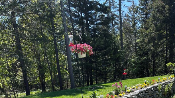 Un jardín con un muro de contención de piedra, diversas flores y una maceta colgante con flores rosas.