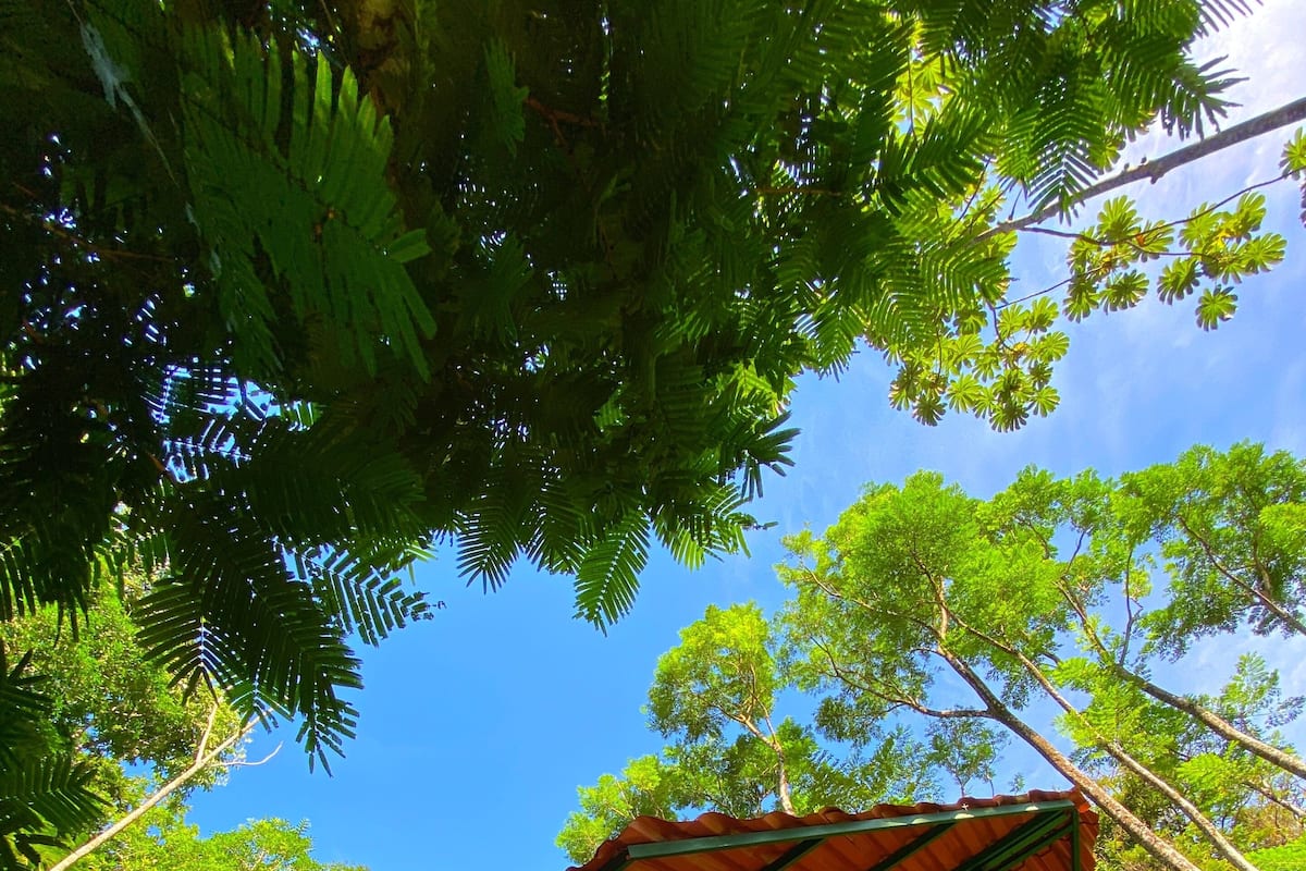 Standard Room, Mountain View | 1 bedroom, bed sheets