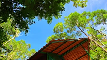 Standard Δωμάτιο, Θέα στο Βουνό | 1 υπνοδωμάτιο, κλινοσκεπάσματα