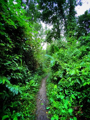 Rutas ecológicas