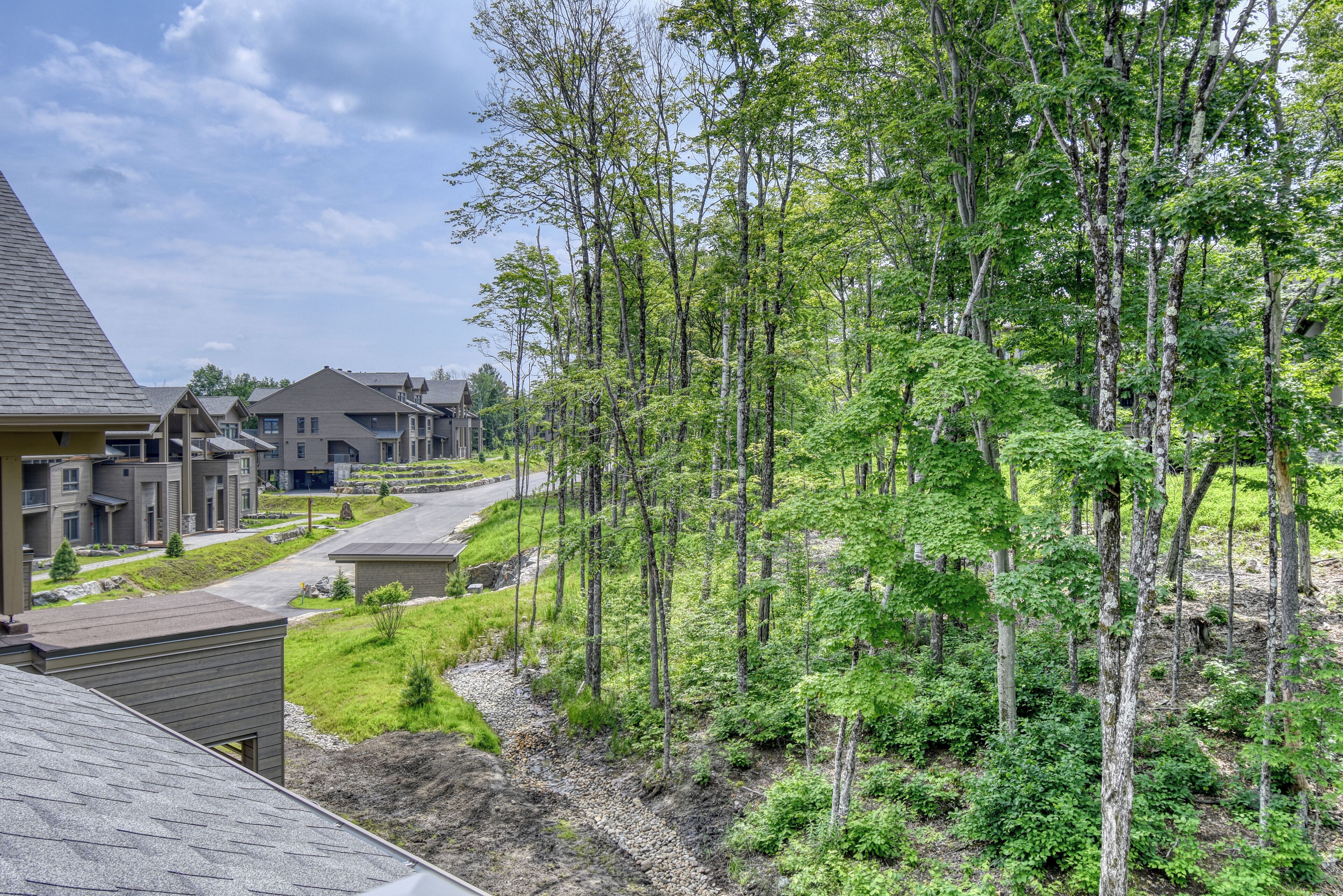 A residential area with modern houses, a well-maintained lawn, and a dense forest in the background.