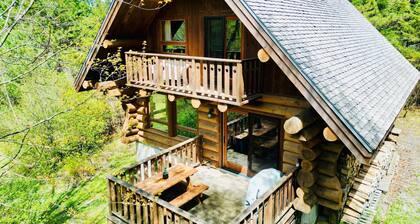 Cabane du Hibou - Wood fireplace - Mont Owl's Head