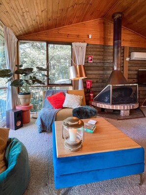 TV, fireplace, stereo - The Cabin, Mt Wilson (Mount Wilson)