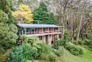 Exterior - The Cabin, Mt Wilson (Mount Wilson)