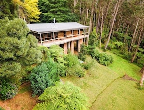 A modern two-story house surrounded by dense forest. - The Cabin, Mt Wilson (Mount Wilson)
