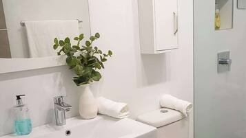 Shower, hair dryer, towels