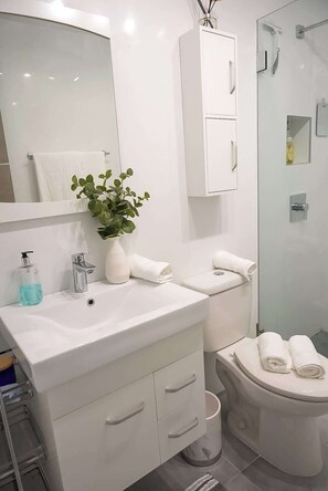 Shower, hair dryer