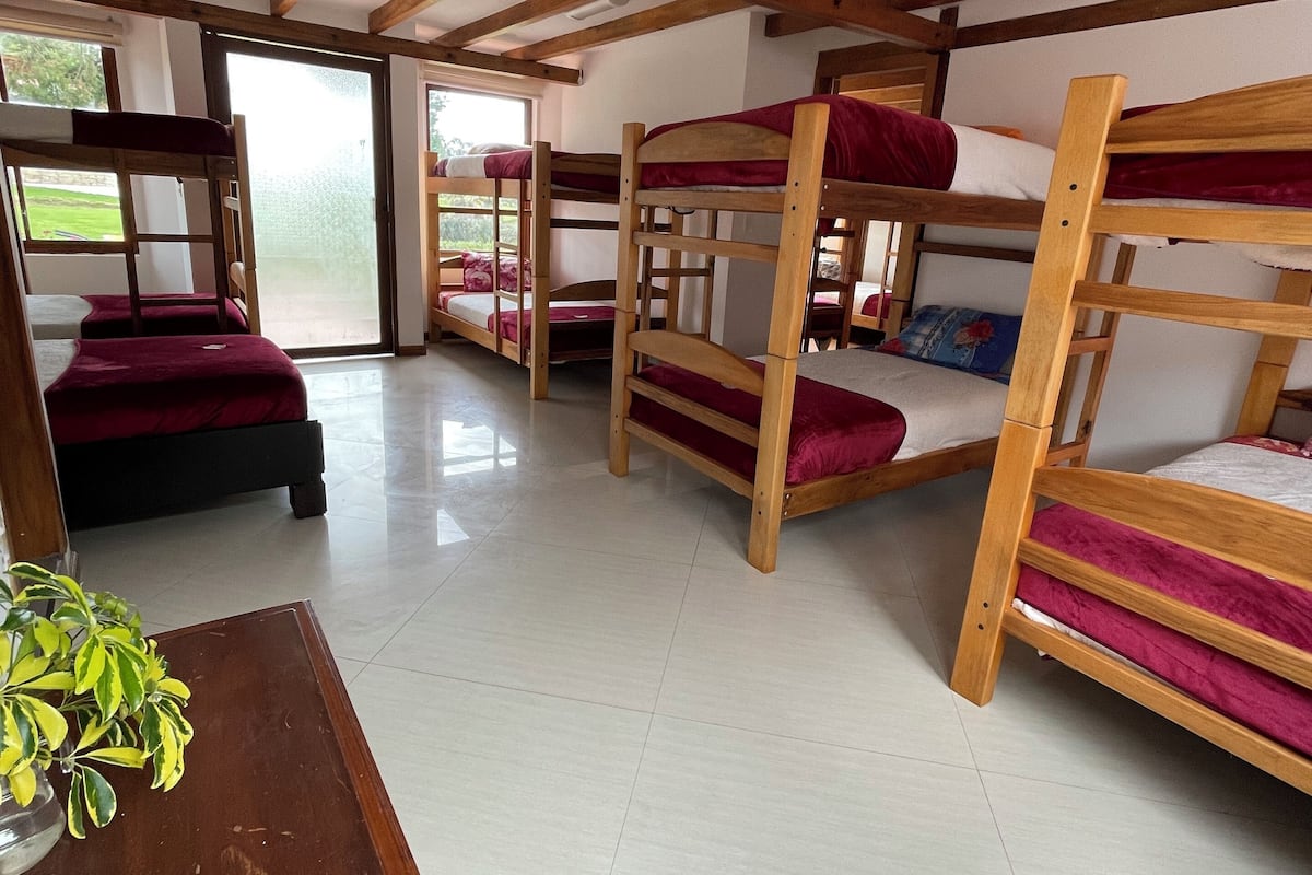 Un dormitorio con literas, una mesa de madera y una planta en maceta.