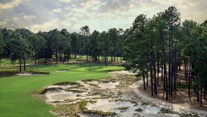 Um campo de golfe com bunkers de areia, putting green e uma área arborizada.