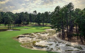 Golf - Elegant Golf Front Condo w/ King, Walk to Village (Pinehurst)