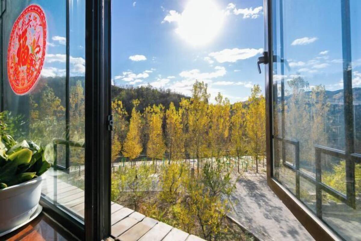 Un balcon donnant sur une zone boisée et sur des montagnes au loin.