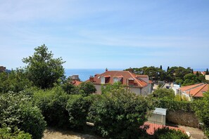 Unclassified image, 3 of 34, button