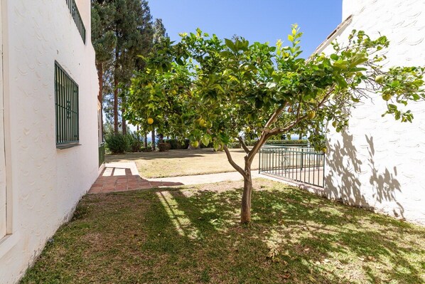 Un edificio blanco con un árbol en primer plano y un cielo despejado.