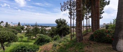 A hillside landscape with trees and a view of a coastal town.