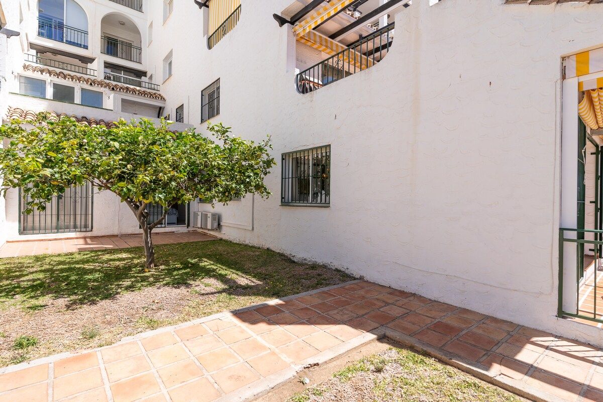 A courtyard with a tree, a tiled pathway, and a building with balconies.