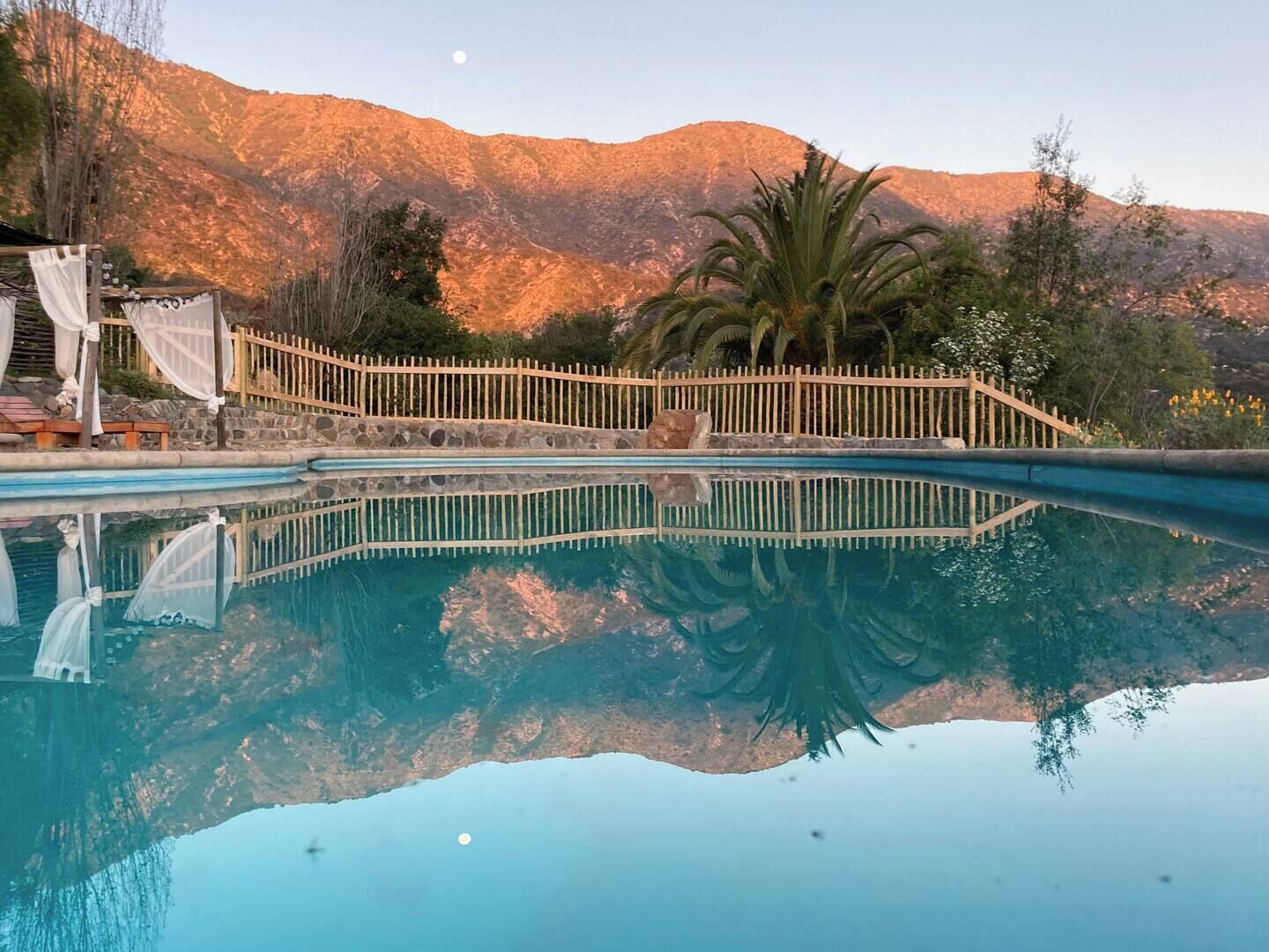 Una piscina trasparente con una recinzione in legno e una palma sullo sfondo.