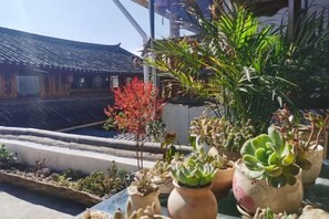 Jardines del alojamiento