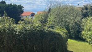 Ein Wohngebiet mit Häusern, üppigem Grün und blauem Himmel.