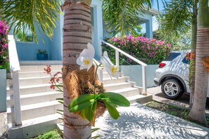 Property grounds - Trade Winds Cottage #2 (Hodges Bay)