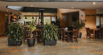 Hotel Rioverde – Aeropuerto Internacional MED