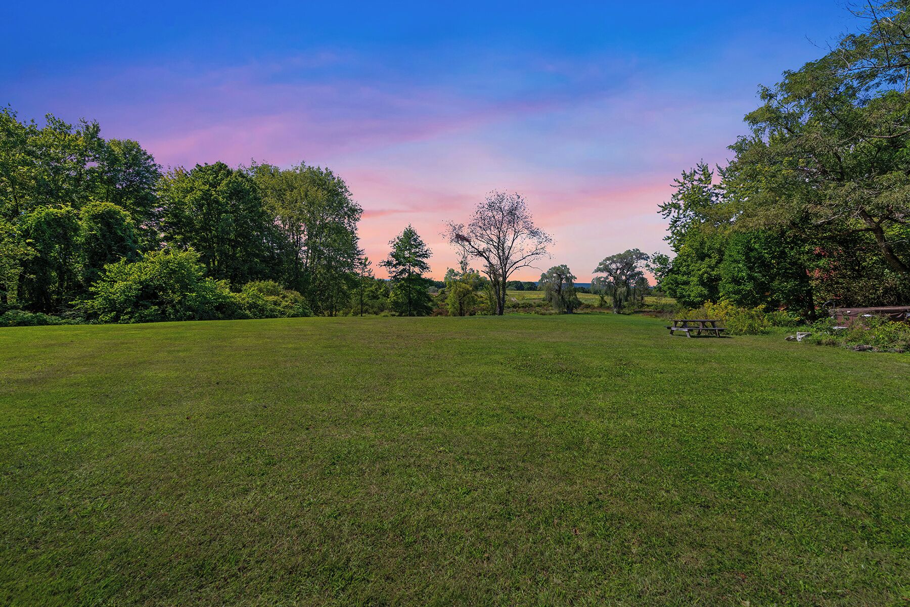 A grassy field with trees and a picnic table.