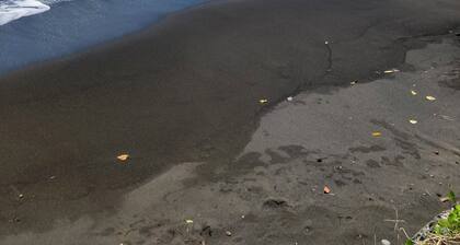 Maison à la Presquîle à 5 Minutes de la Plage