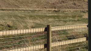 A fenced area with a view of snow-capped mountains in the background. - Farm stay near Yellowstone, Livingston, Bozeman, hiking, fishing, skiing (Livingston)
