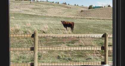 Farm stay near Yellowstone, Livingston, Bozeman, hiking, fishing, skiing