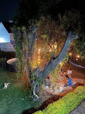 Property grounds - La Casa de los Abuelos (Santiago Tepetlapa)