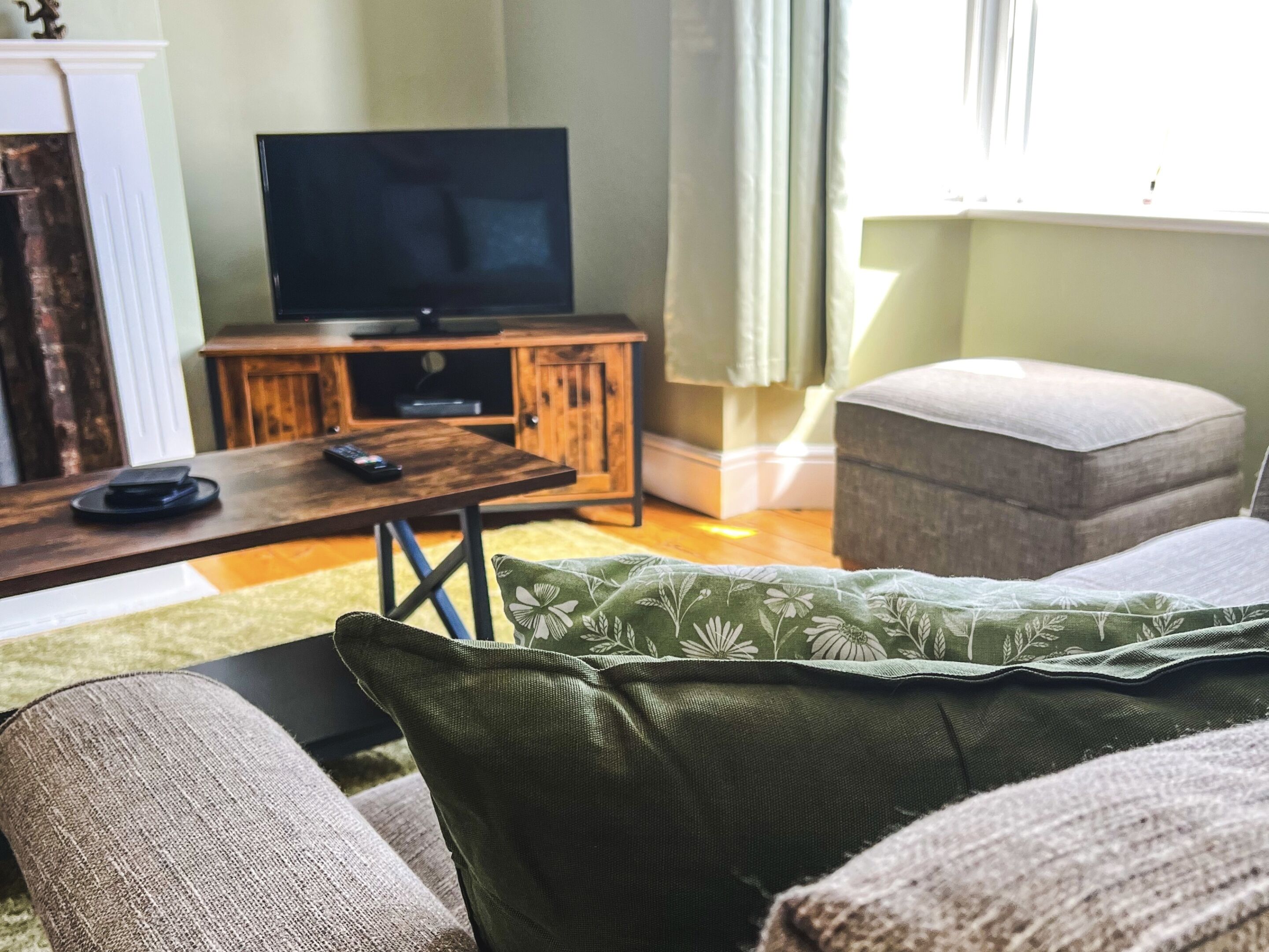 TV, fireplace, DVD player, books