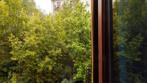 A view through a window with dense green foliage and a building in the background. - Cate Apartment - Flo Apartments (Firenze)
