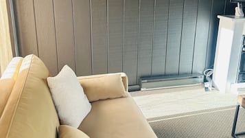 Smart TV, fireplace, books, music library