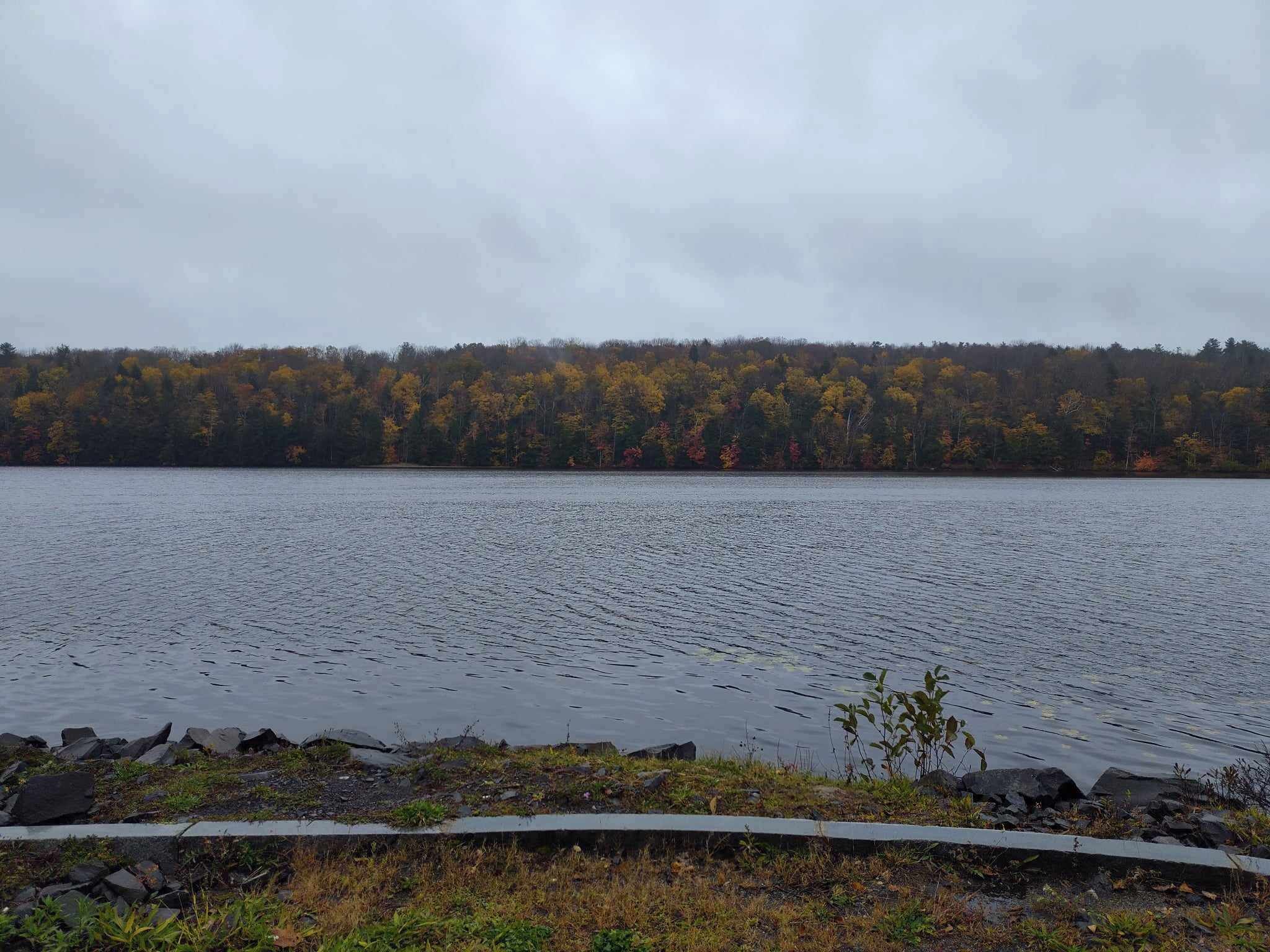 A lake with a rocky shoreline and a forest in the background.