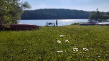 Ein grasbewachsenes Feld im Vordergrund mit Margeriten und im Hintergrund ein See mit Booten.