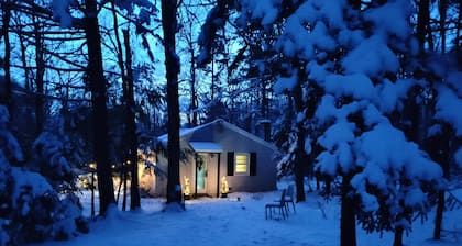 Wintery Cottage in the Berkshires! Dog friendly, Hot Tub, Hiking, Shopping, Dine