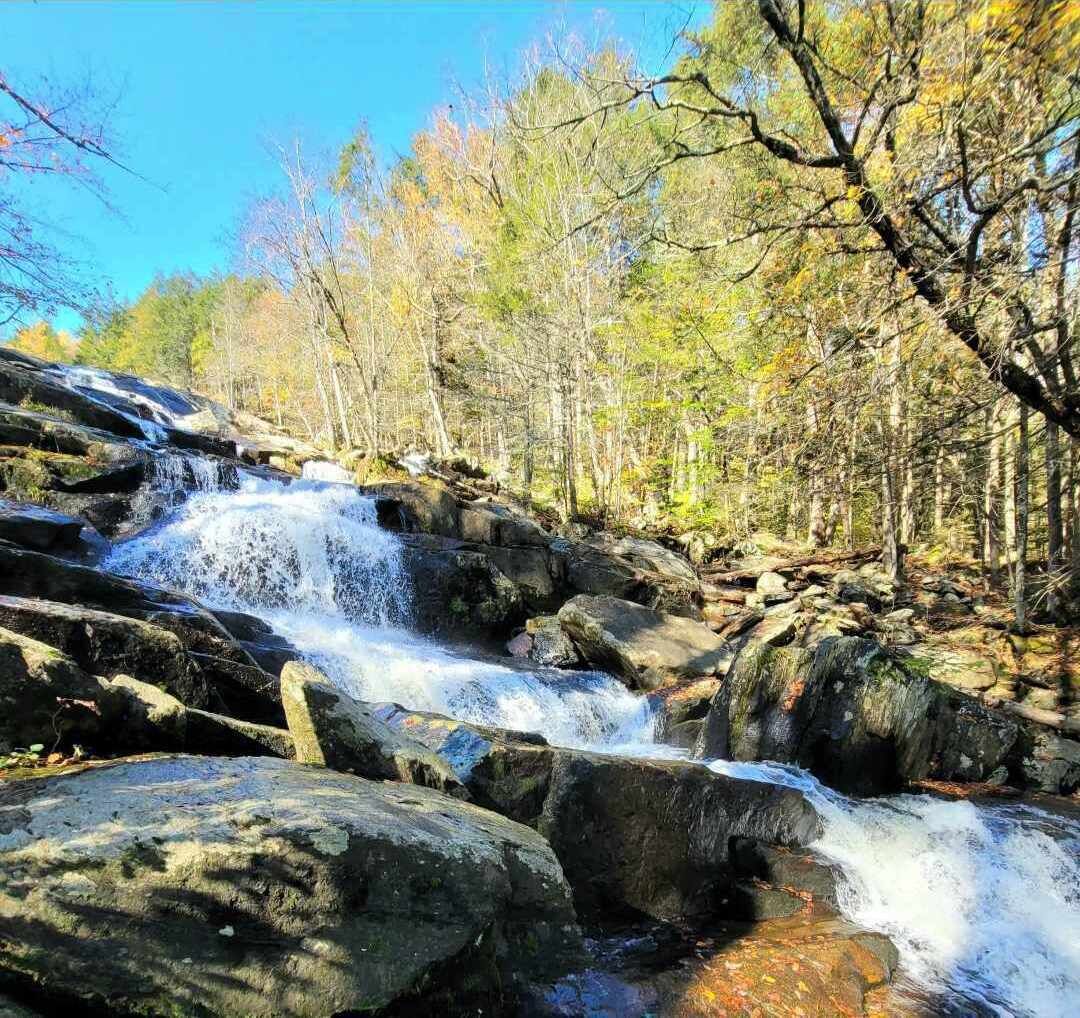 A waterfall in a forested area with rocky terrain and trees.