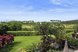 Property grounds - Nice 2B, 2 B condo, walk to the beach! (Kailua-Kona)