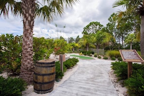 Mini-golf