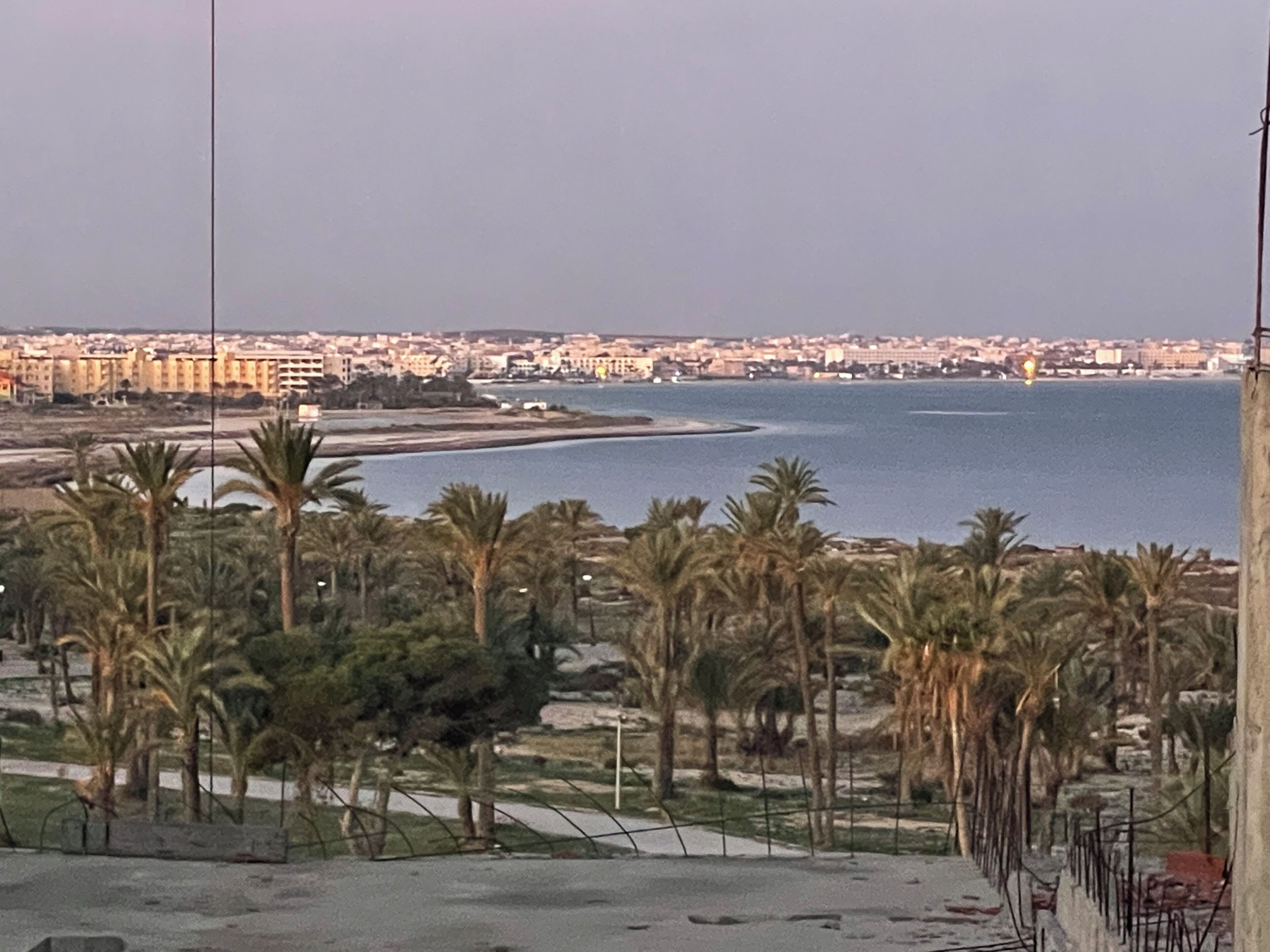 Paesaggio costiero con vista sul mare e sullo skyline di una città in lontananza. Palme lungo lo sfondo, e cielo sereno.