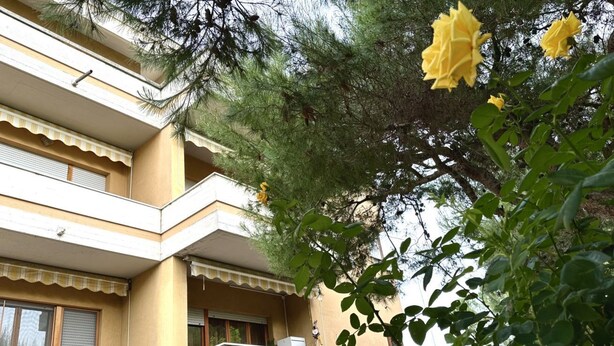 A multi-story building with balconies, a yellow facade, and green foliage. - SE092 - Senigallia, large four-room apartment with terrace (Senigallia)