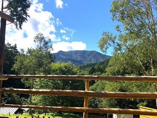 テラス / パティオ