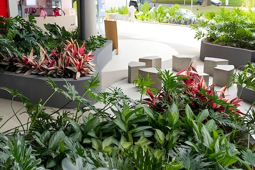 Apartasuites Cerritos Mall