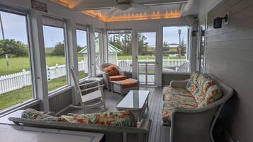 TV connectée, cheminée, livres