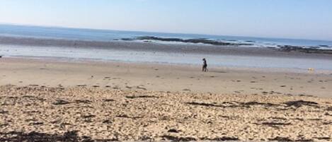 Playa en los alrededores