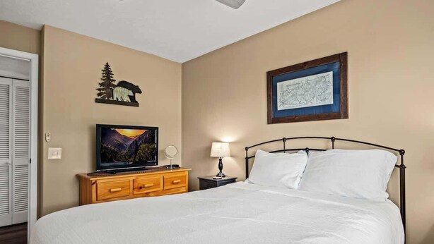 1 bedroom, iron/ironing board, WiFi, bed sheets - Mountain Views | Indoor Pool & Hot Tub Access (Gatlinburg)