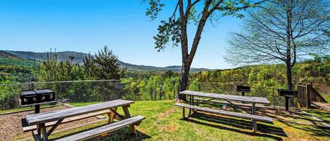 Ein Picknickbereich mit Bänken und Grillstellen, umgeben von einem Zaun und Bäumen, mit Blick auf eine hügelige Landschaft.