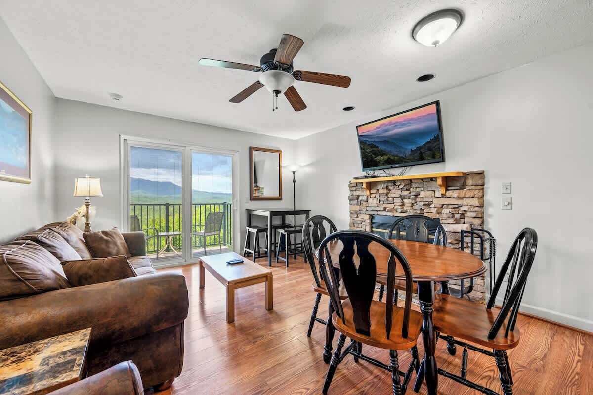 TV, fireplace