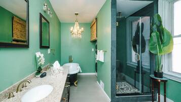 Hair dryer, bidet, towels, soap