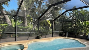 A swimming pool with a curved design, surrounded by a covered area with a mesh roof, and lush tropical vegetation in the background.
