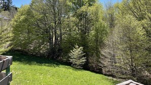 A park with a wooden bench and a grassy area surrounded by trees. - Studio le Coquelicot (L ESPEROU)